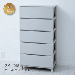 `FXg ߑP[X [P[X 3i/4i/5i X/Ch 34/54 s42  68/87.5/107cm [X h[`FXg [{bNX o ^X vX`bN l炵 ʏ [ 