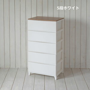 ؐ Vt [X `FXg Ch 54 s42 68/87.5/107cm ^X ߑP[X [P[X vX`bN o ʏ [ Q q N[[bg B[ h[`F