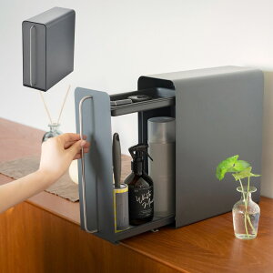 B  [P[X o X^hh[ 13 s31.7 33.5cm ԃbN o [ Lb` ʏ  rO B[ E^E UtaU yz