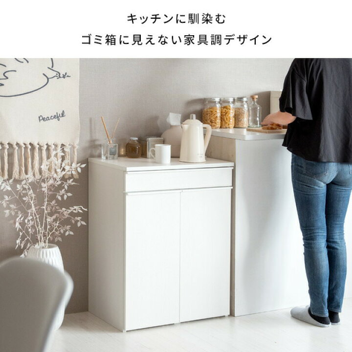 楽天市場】隠せる ゴミ箱 45リットル 2分別 引出し式 幅60 奥行き42 高 