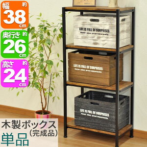 J[{bNX Ci[{bNX Pi ؐ{bNX ː 38cm s26cm 24cm ȃAeB[N˃{bNX Be[W Vv ؔ [{bNX [P[X 