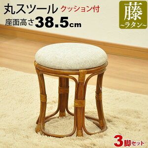 ۈ֎q ۃXc[ `FA | ʍ38.5cm NbV ^`FA AWAeCXg AWAƋ  y ؐ ۃCX  킢 y  ʏ Eߏ Lb` 