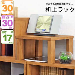 j^[ ドbN ؐ j^[bN  30cm s30cm 17.4cm fXNuI ドbN fXNu j^[X^h p\R PC L[{[h[   u