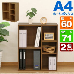 2個セット カラーボックス ワイド(2段+3段) A4ファイル対応 B5ファイル対応 収納棚 幅60cm 奥行29.2cm 高さ70.6cm(約 幅60cm 奥行30cm 高さ70cm)教科書 学用品 子ども部屋 デスクサイド シンプル 木目柄