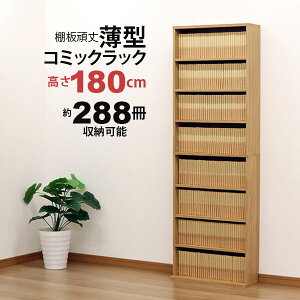  {I R~bN {I  bN R~bNbN L ^ ^ R~bN[ [ 288[ e CD[ DVD[ u[C Blu-ray ()60cm s22cm 180cm fBXvCbN 