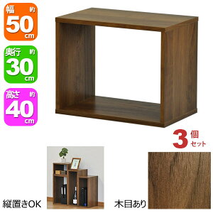 I[vbN 1i 50×40 3Zbg s30cm [ I A4Ή _[NuE  gݍ킹R 50cm 40cm  ω׏d20kg ςݏd [ bN fBXvCbN ドbN 