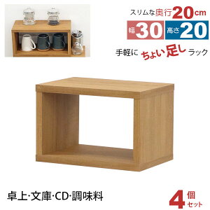 I[vbN 1i 30×20 4Zbg s20cm [ I ^  gݍ킹R 30cm 20cm  ω׏d20kg ςݏd [ bN fBXvCbN ドbN I {I R~bN 