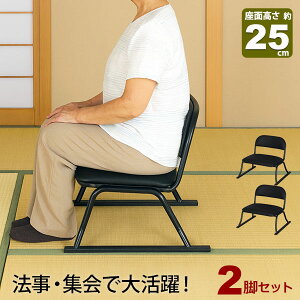 2rZbg ֎q rt ֎q ʍ25cm i 52cm s46cm 45cm ubN  烌U[  @p ~ ֎q d֎q @v  a ֎q Ⴂ֎q  W X