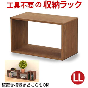 I[vbN 1i 55 [ I A4Ή {(Y)V[g ؖڒ  54cm s27cm 32.5cm  v fBXvCbN ドbN I {I R~bN  ɖ{ G ANX