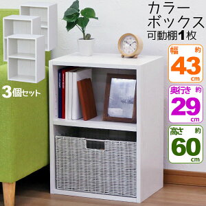 3Zbg J[{bNX2i uA4t@CΉ cuB5t@CΉ [I 42.8cm s29.2cm 59.9cm( 43cm s30cm 60cm)ȏ wpi qǂ Vv ؖڕ  