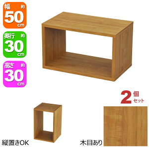 I[vbN 1i 50×30 2Zbg s30cm [ I A4Ή uE F  gݍ킹R 50cm 30cm  ω׏d20kg ςݏd [ bN fBXvCbN ドbN 