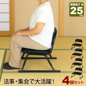 4rZbg ֎q rt ֎q ʍ25cm i 52cm s46cm 45cm ubN  烌U[  @p ~ ֎q d֎q @v  a ֎q Ⴂ֎q  W X