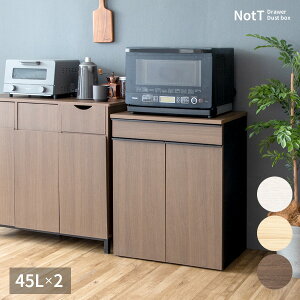 S~  45bg×2t(v90bg)   Ȃ BLX^[t ot S~ IV 45L 60cm s42cm 80cm ؐʃ_Xg{bNX uE zCg i
