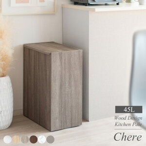 S~ɌȂS~ 45L 45bg ()25 t^t LX^[t  X ݔ  ؐ Ƌ S~ Lb` fXN ؖڕ 嗝Ε n 45cm s26.5cm 61cm(