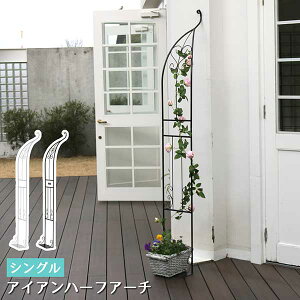 ACAn[tA[` n[tACAA[` oA[` Pi  _[NuY zCg 55cm s30cm 211.5cm S n[g  tFX K[fA[` ^ k K[fjO 