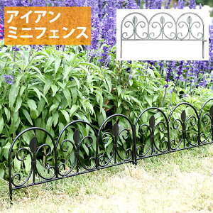 ACA tFX ~j h~jACAtFX([t) Pi ()47cm 25.5cm ubN  v^[tFX Q[g ACA K[ftFX K[fjO g  d؂ ډB