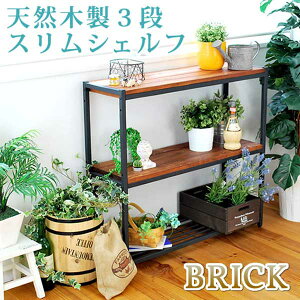 bN 3i X s30cmȉ 86 [ I  Be[W VR×ubNX`[ 86cm s28cm 81cm  v OibN ^ I[vbN X`[bN {I 