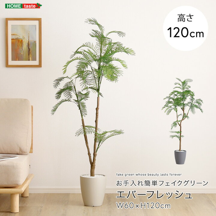 楽天市場】エバーフレッシュ フェイクグリーン 高さ120cm 観葉植物 