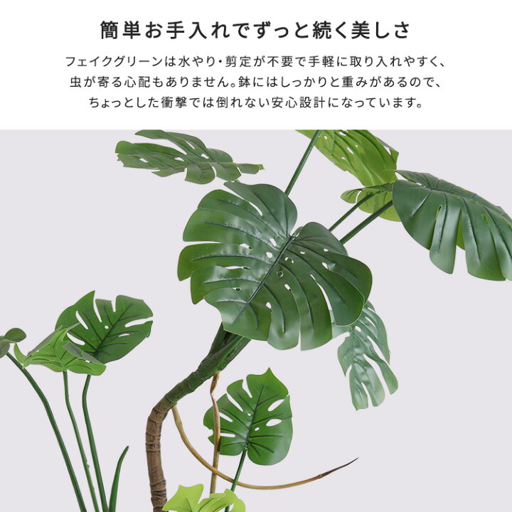 楽天市場】モンステラ フェイクグリーン 高さ150cm 観葉植物 フェイク 