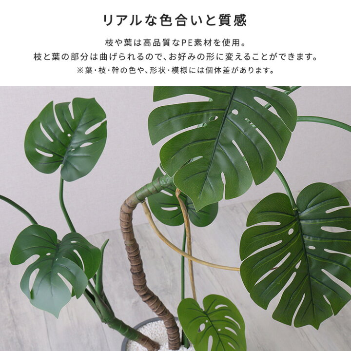 楽天市場】モンステラ フェイクグリーン 高さ150cm 観葉植物 フェイク 