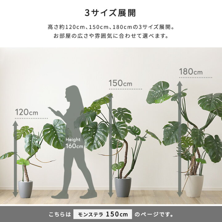 楽天市場】モンステラ フェイクグリーン 高さ150cm 観葉植物 フェイク 