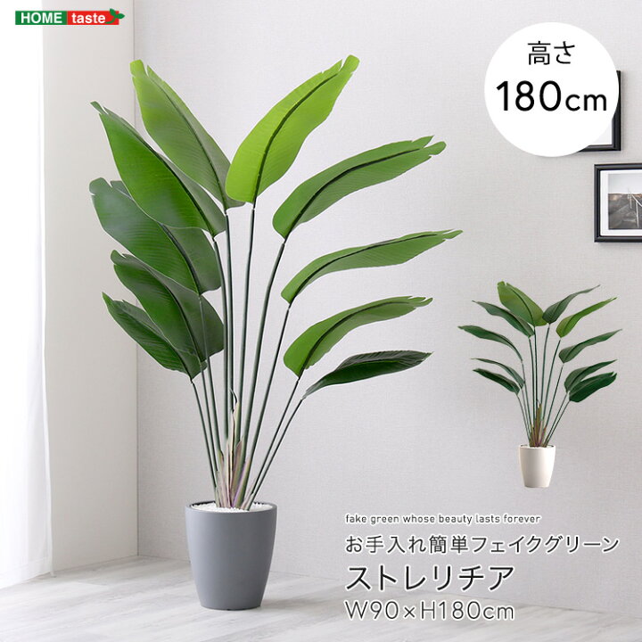 楽天市場】ストレリチア フェイクグリーン 高さ180cm 観葉植物 