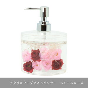 AN\[vfBXyT[@X[[Y@ANTj^[@t̐Ό@nh\[v@oXObY@ʗp@nӔޑZNg