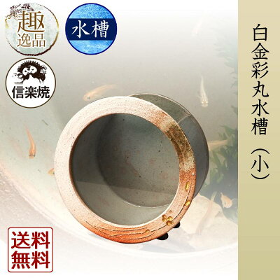 白金彩丸水槽(小)水槽鑑賞信楽焼陶器メダカ金魚水草和風レトロギフトお祝いプレゼントお店ディスプレイ