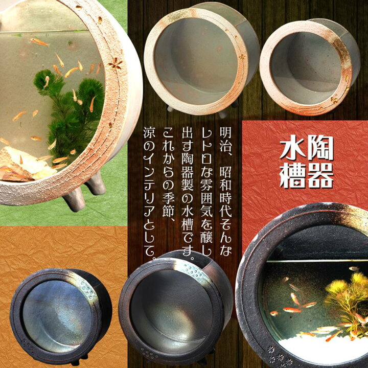 楽天市場】黒釉丸水槽（大） 水槽 鑑賞 信楽焼 陶器 メダカ 金魚 水草 