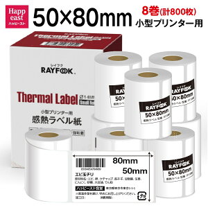 RAYFOOK p MxV[ 50×80mm y100×8=800z MV[ zx Mxv^[p T[}xp ^xv^[p FBAx M[ V[ phome