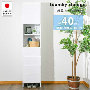 3܂ŁI8%offN[| Tj^[[ h[[ 40cm  Ƌ i X { h[`FXg Tj^[`FXg Ԏ[ ʏ Eߏ ȃXy[X zCg ^