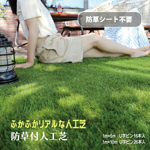 lH lHŐ V[gt 1m×5m 1m×10m Ő lHŃ}bg Ő}bg Gh~ O   x_ eX oRj[ K[fjO O[ DIY ybg hbO y