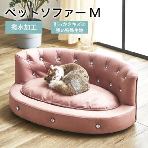 Iׂ郌r[T聡ybg\t@[ ybg\t@ ybgƋ lRƋ  lR H ꐶn LYɋ NbV    Pn ybgpi Lbg\t@ l