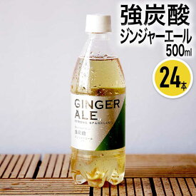 11日迄p5倍＋クーポン■純水使用 強炭酸 ジンジャーエール 500ml 24本 ジンジャーエール ジンジャー まとめ買い ケース買い セット ジュース 炭酸 サイダー ペットボトル 500ミリ お中元 お歳暮 ギフト プレゼント 贈り物 佐賀 友桝飲料 飲み物 飲料 日本製 国産