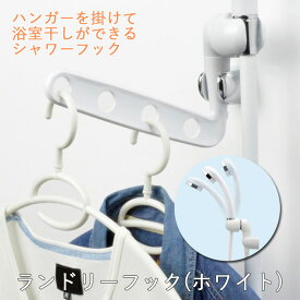 楽天市場 角度調整 シャワーフックの通販