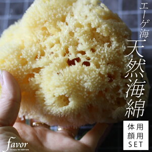【レビュー特典】 『 天然海綿セット 』 エーゲ海産 ボディースポンジ からだ用 ボディ用 顔用 フェイス用 セット 大きいサイズ 海綿スポンジ 海綿 スポンジ お風呂 風呂 ハニコム種 地中海