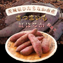 楽天市場】紅はるか 土付きの通販