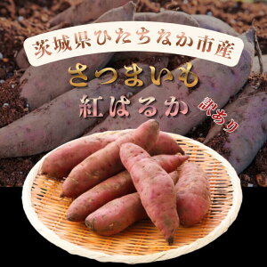 yyVX[p[SALE|Cg2{zyViN[|20OFFz܂ g͂邩 錧Y 󂠂 yt ЂȂsY s 2k/3k/5k _ƒ