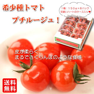 ミニトマト パック 食品の人気商品 通販 価格比較 価格 Com