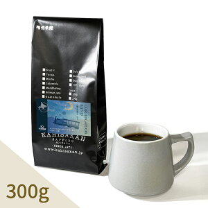 M^͒ʂuh@300g R[q[ R[q[  蓤 ҂ i  JqTJ ے