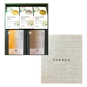 hbvJtFI[KjbNeB[Mtg@DT-2 hbvR[q[ hbvobO  g eB[obO Mtg v[g yY 蕨 i  JqTJ ے