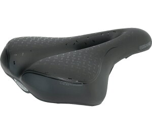 Ki Aoj I[ Urbani Aura ^CIKAZVA TIOGA Acentia Th SDL37700 2 񂹁