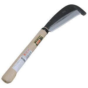 Ezsy80zY n Gr 񂹁