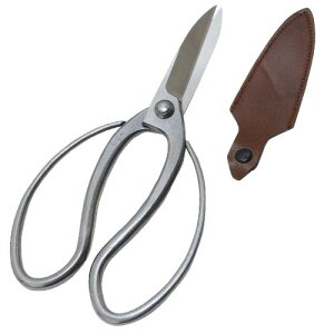 y80zY g  XeXnv 200MM 񂹁