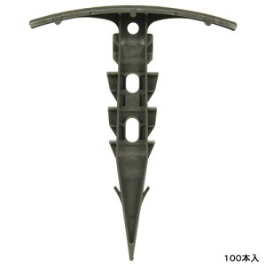 Y ZteB-3 }` 100P 񂹁