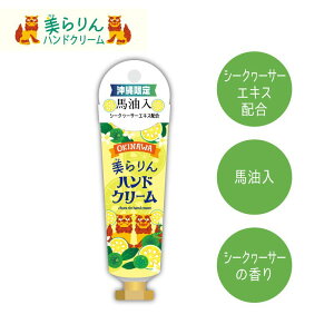 nhN[ u V[N[T[ ̍v Mtg r v[g nhN[ n V[N[T[̍ 킢  yY yY Cws ꗷs fkt ss10