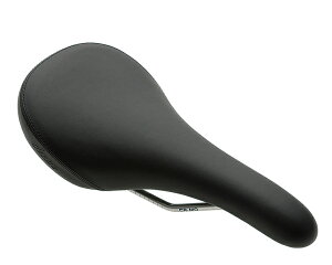 Ki fBYi Dixna ALXRtH[gTh ubN D11SDL00602 