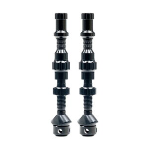Ki EXO-CORE VALVE SET REGULAR 35mm EXORA ouZbg M[ STANfS X^Y `[uXou AS0239 