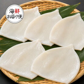 ＼＼楽天スーパーSALE ★赤字覚悟の大特価☆ スーパーセール／／【丸尚】冷凍＊送料無料★するめいかフィーレ　5枚入り★　岩手県産フィレ