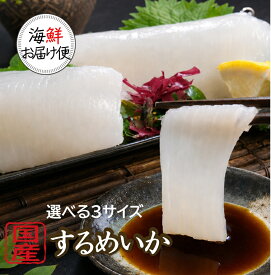＼＼楽天スーパーSALE ★赤字覚悟の大特価☆ スーパーセール／／【丸尚】冷凍＊送料無料★青森県・岩手県　いかそうめん10枚入【するめいか】フィルム個包装《冷凍品》選べるサイズ！スルメイカ イカソーメン　イカ刺し　イカのお刺身　いか刺し　刺身　生食いかそーめん